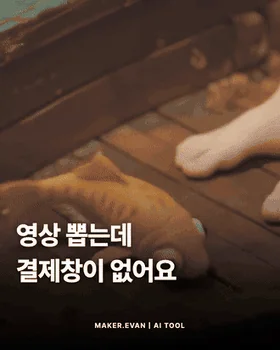 상품의 기존 제작 예시에 사용된 영상 카드 발췌