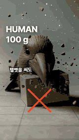 딱따구리 편