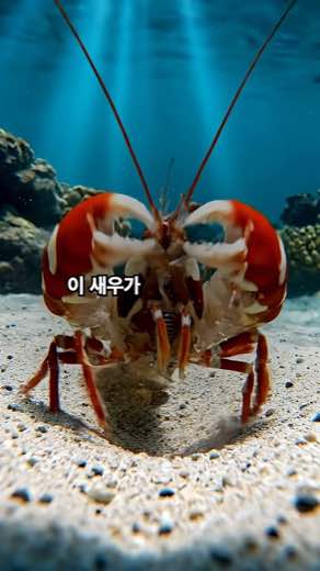 새우