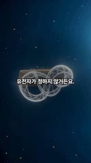 바다거북 편 도해
