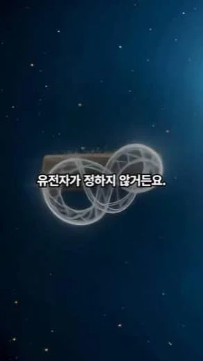바다거북 편 도해